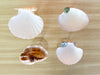 Set of Four Shell Chic Coupes