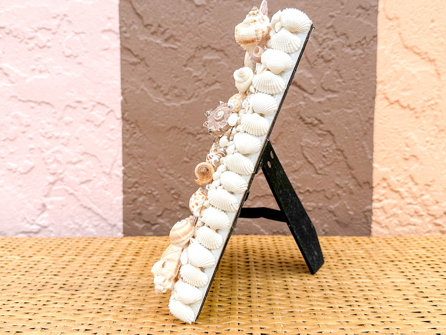 Colorful Shell Frame