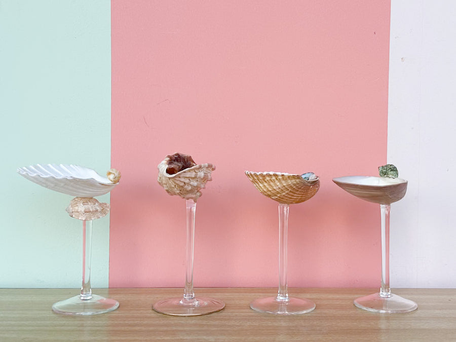Set of Four Shell Chic Coupes