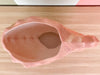 Peach Nautilus Shell Cachepot
