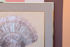 Shell Chic Original Art