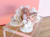 Lucite Peach Shell Box