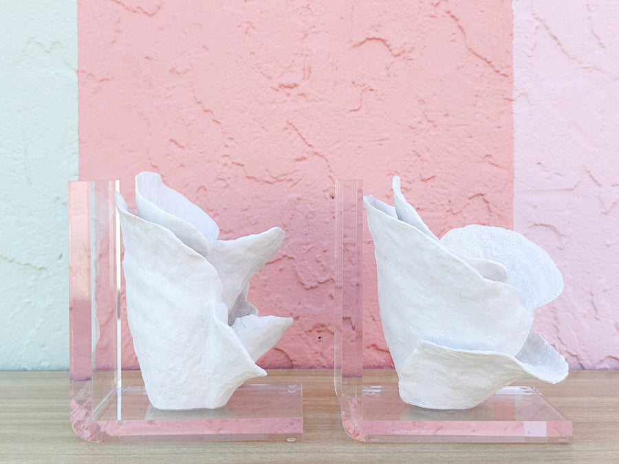 Lucite Coral Bookends