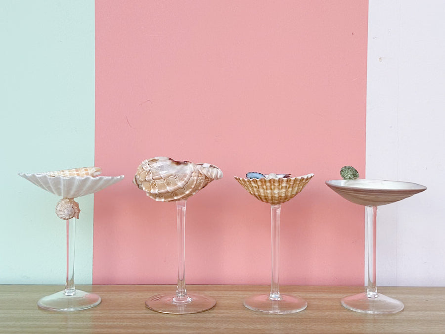 Set of Four Shell Chic Coupes
