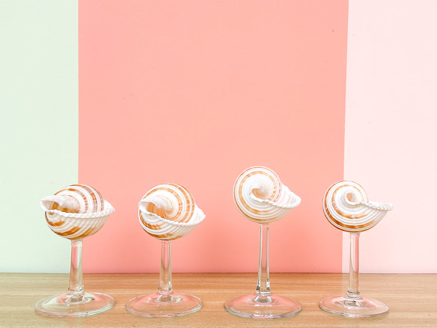 Set of Four Striped Shell Coups