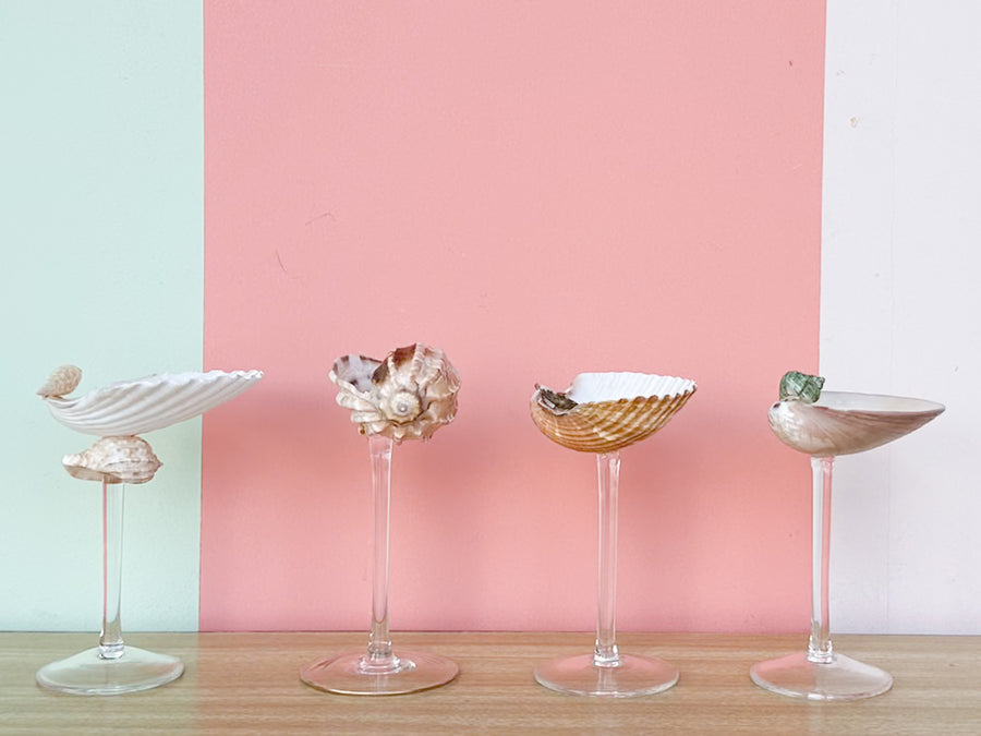 Set of Four Shell Chic Coupes