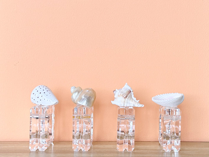 Set of Four Shell Lucite Napkin Rings