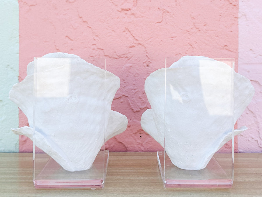 Lucite Coral Bookends