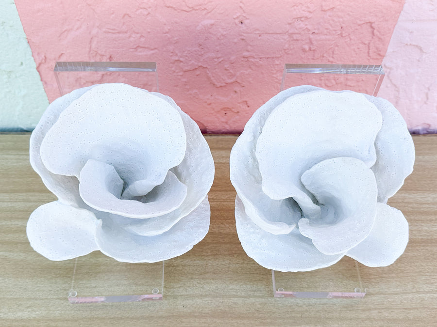 Lucite Coral Bookends