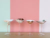 Set of Four Shell Chic Coupes