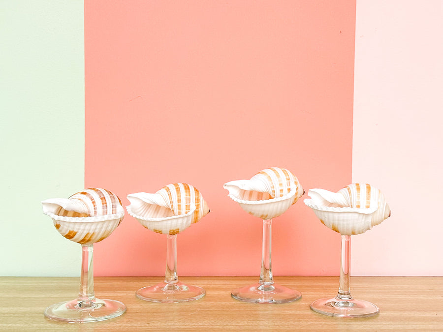 Set of Four Striped Shell Coups