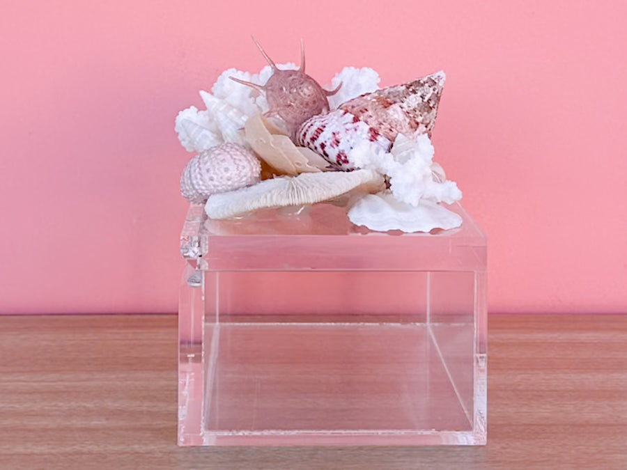 Lucite Peach Shell Box