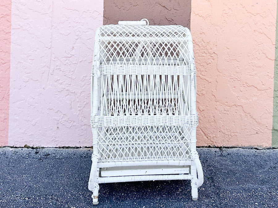 Fiddlehead Wicker Bird Cage