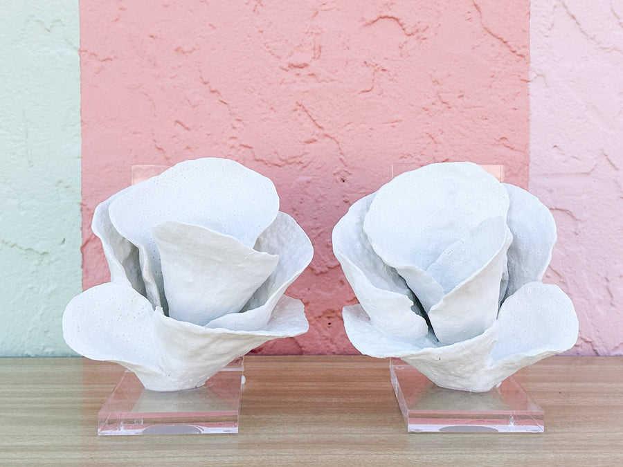 Lucite Coral Bookends