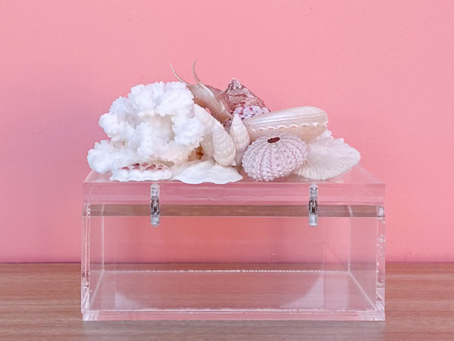 Lucite Peach Shell Box