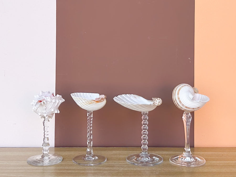 Set of Four Shell Chic Coupes
