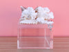 Lucite Peach Shell Box