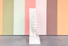 Coastal Chic Plaster Shell Console