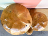 Carved Teak Mushroom Cluster