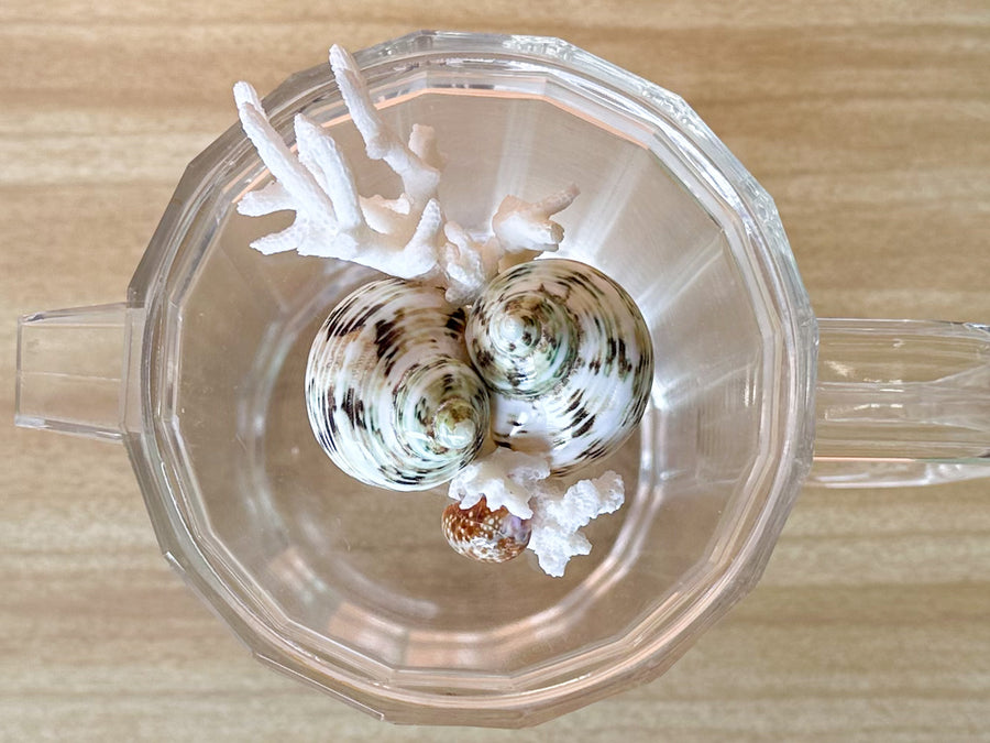 Shell Chic Pitcher and Ice Bucket