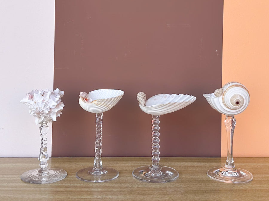 Set of Four Shell Chic Coupes