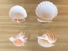 Set of Four Shell Chic Coupes