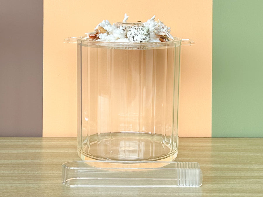Shell Chic Pitcher and Ice Bucket