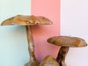 Carved Teak Mushroom Cluster