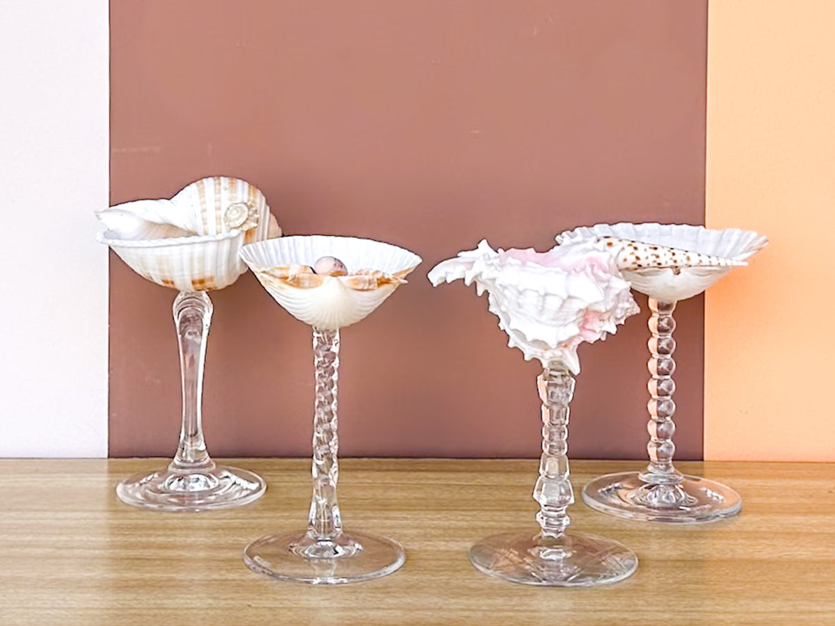 Set of Four Shell Chic Coupes