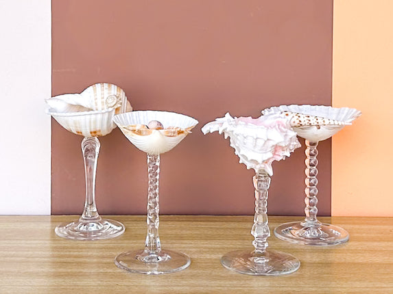 Set of Four Shell Chic Coupes