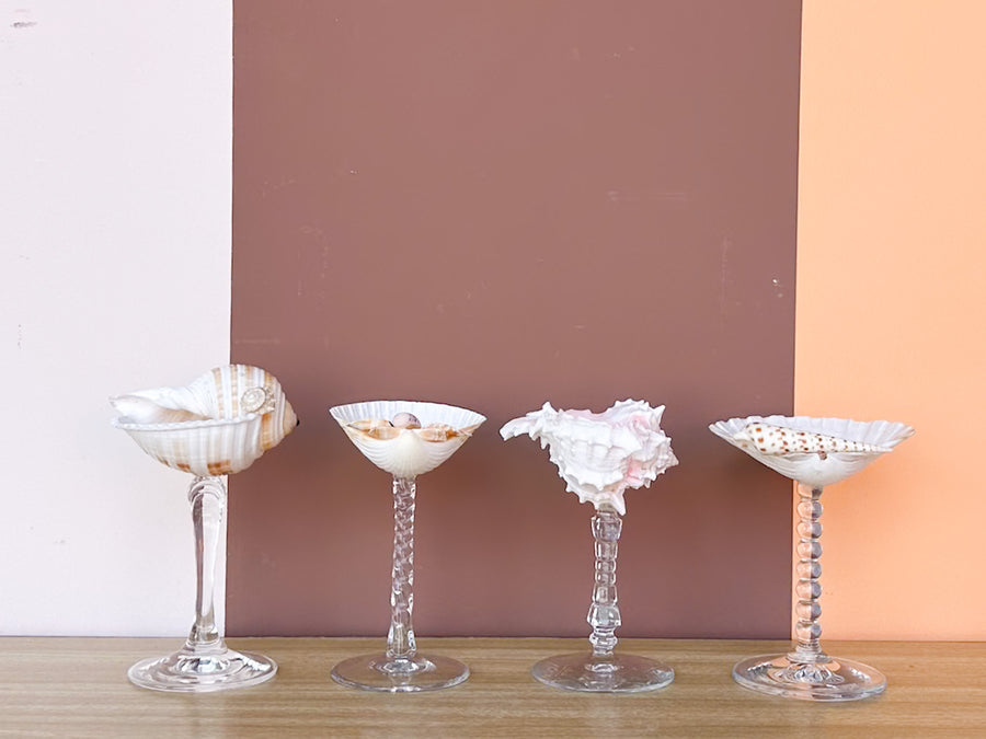 Set of Four Shell Chic Coupes