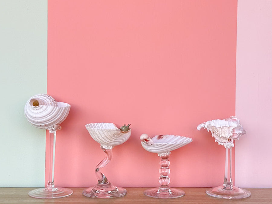 Set of Four Shell Chic Coupes
