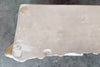 Coastal Chic Plaster Shell Console