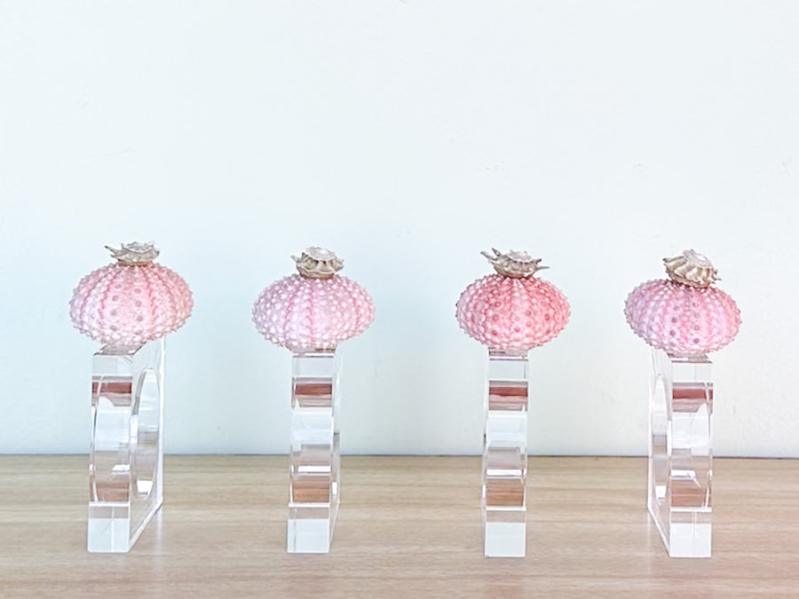 Set of Four Pink Sea Urchin Napkin Rings