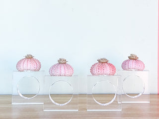 Set of Four Pink Sea Urchin Napkin Rings