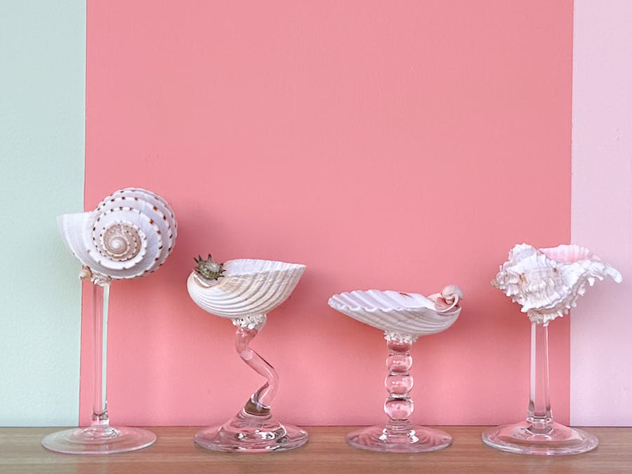 Set of Four Shell Chic Coupes