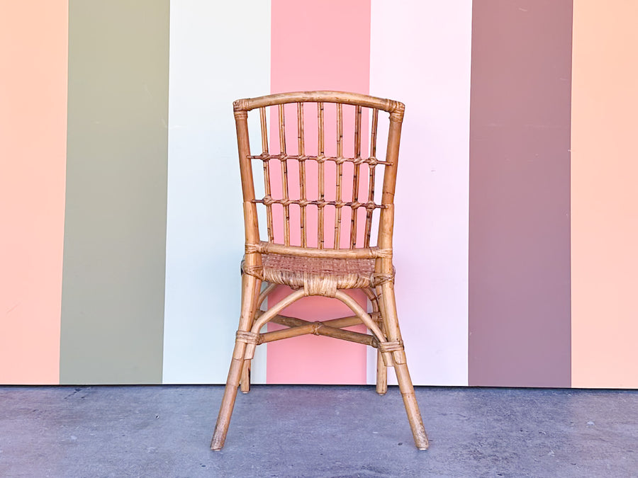 Coastal Rattan Chippendale Desk and Chair