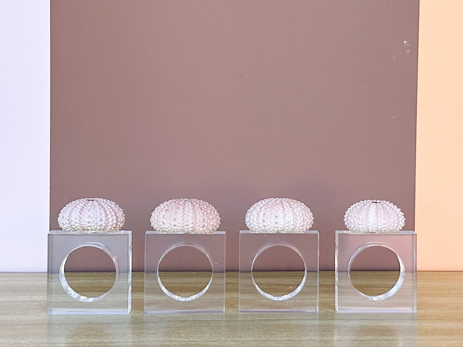 Set of Four Pink Sea Urchin Lucite Napkin Rings