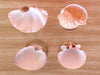 Set of Four Shell Chic Coupes