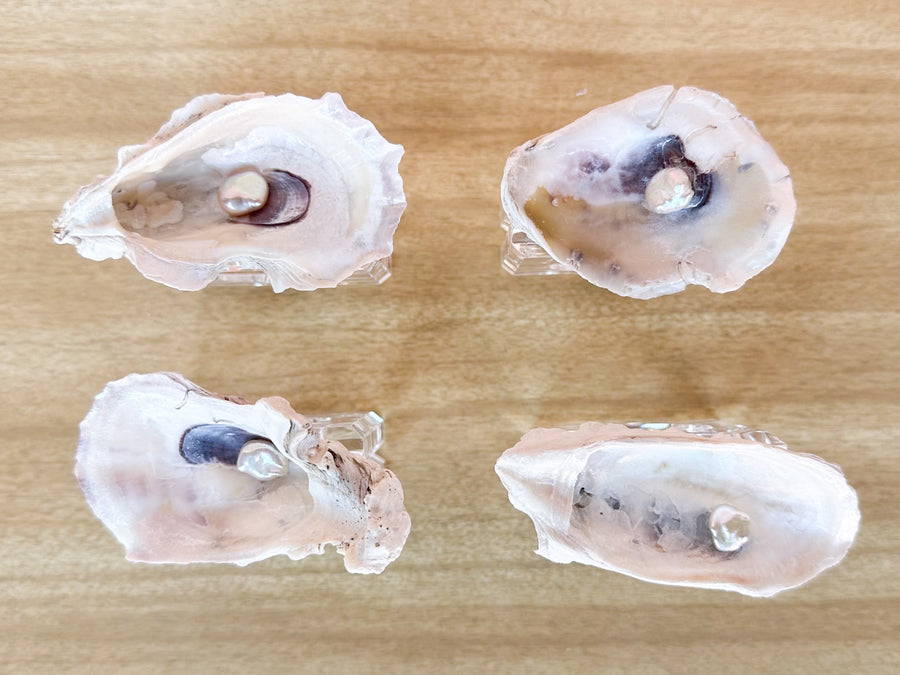 Set of Four Oyster Pearl Lucite Napkin Rings