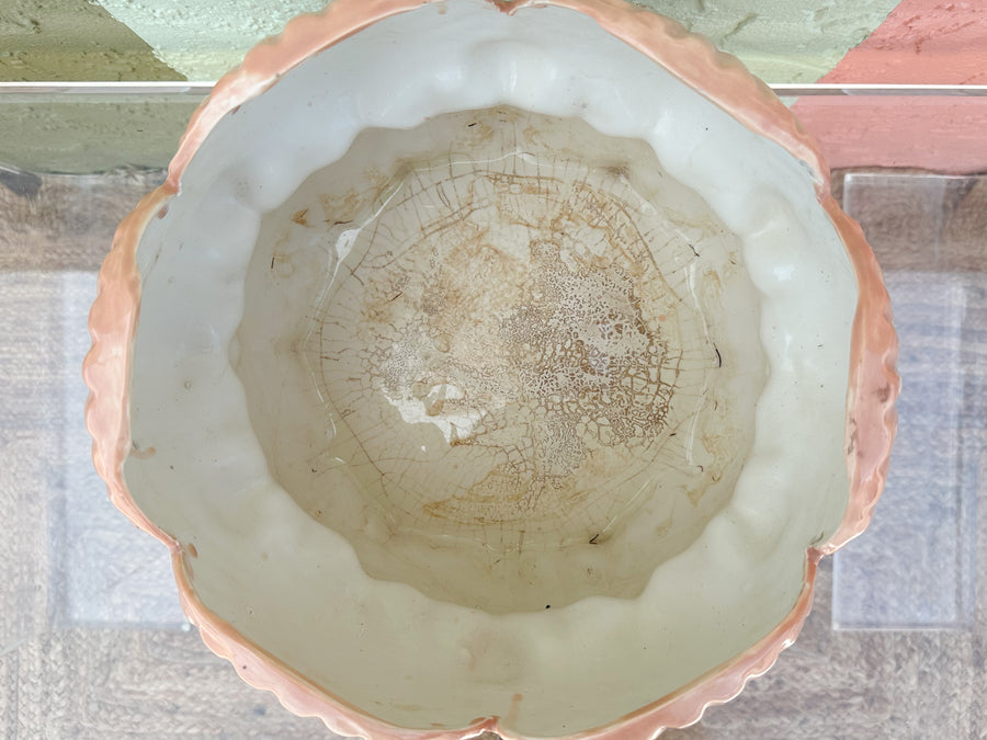 Medium Shellegance Cachepot