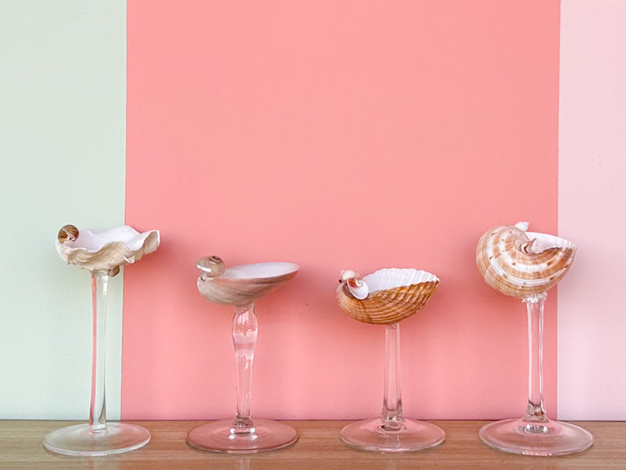Set of Four Shell Chic Coupes