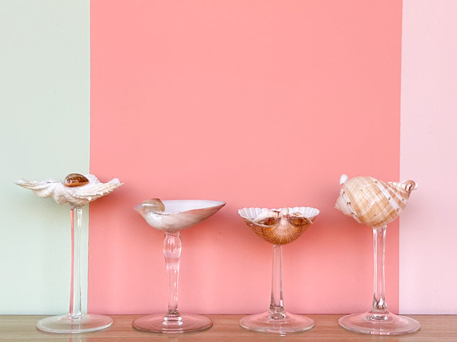 Set of Four Shell Chic Coupes