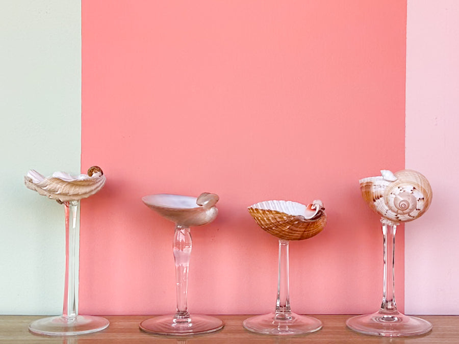 Set of Four Shell Chic Coupes