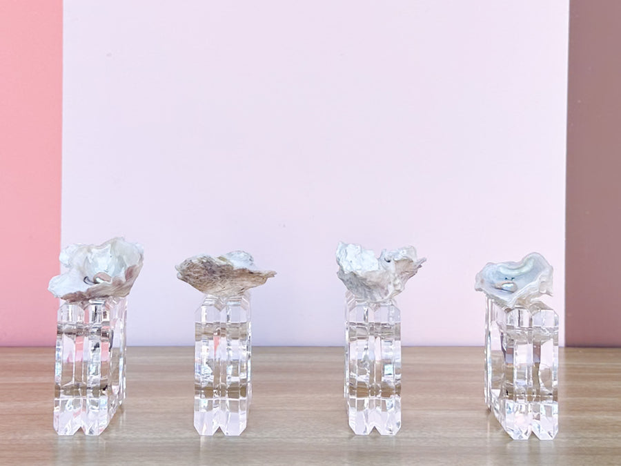 Set of Four Oyster Pearl Lucite Napkin Rings