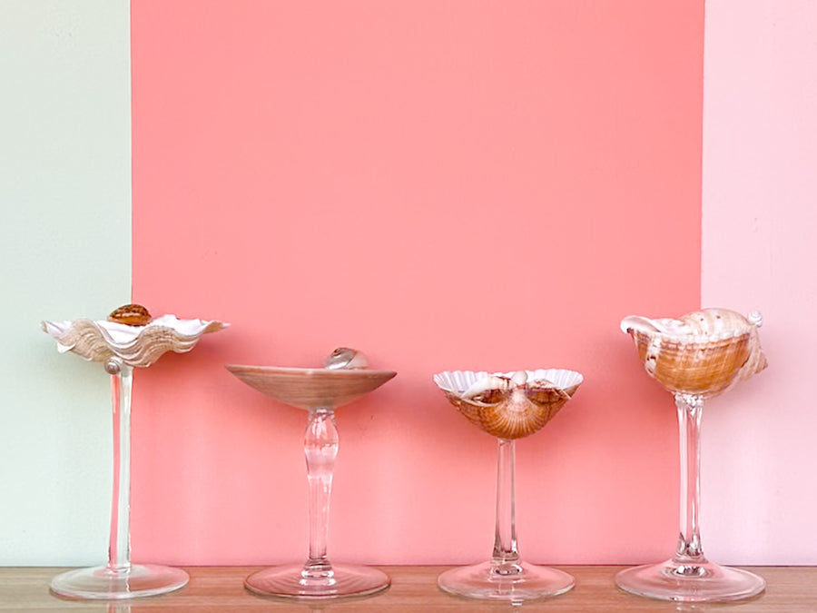 Set of Four Shell Chic Coupes