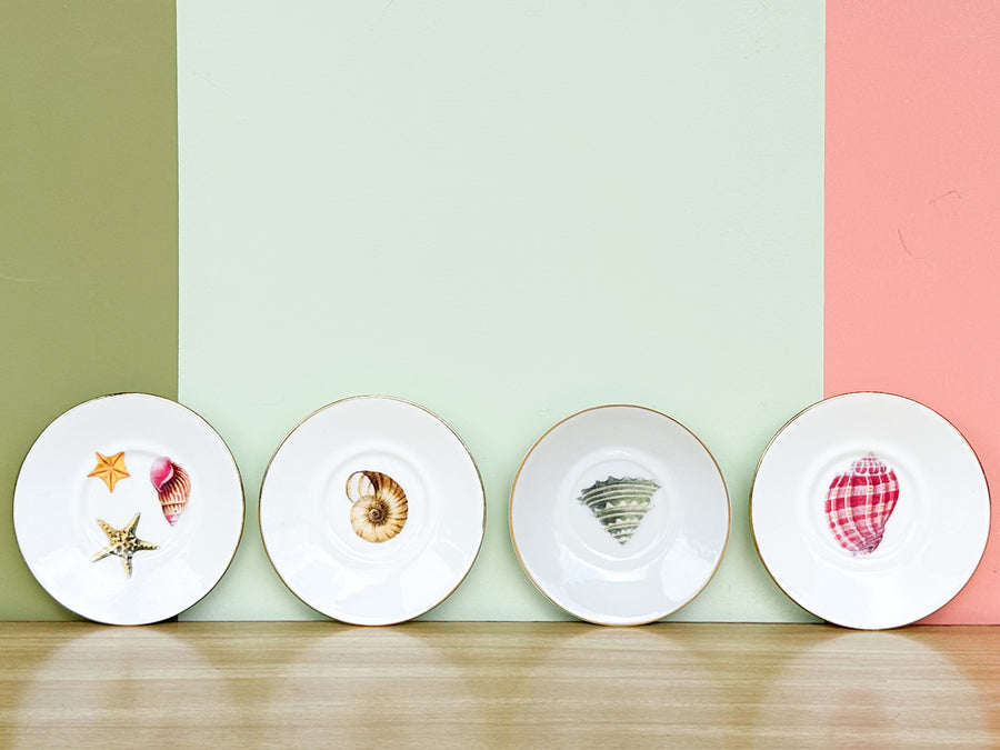 Set of Six Petite Decoupage Shell Plates