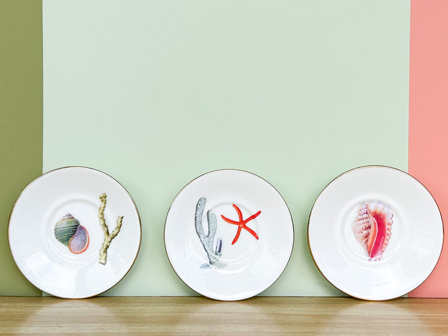 Set of Six Petite Decoupage Shell Plates