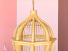 Sweet Birdcage Chandelier