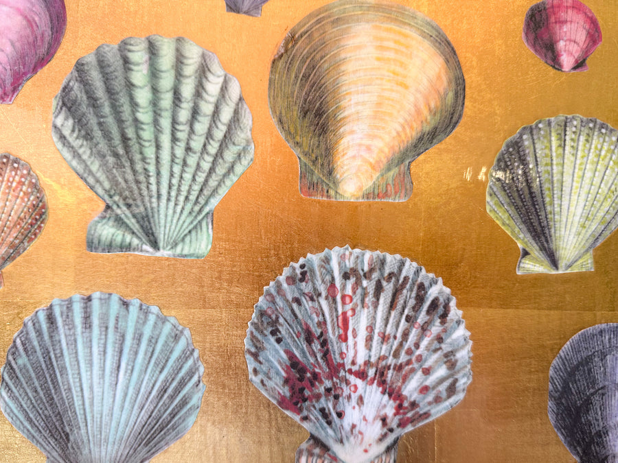 Regency Chic Shell Decoupage Tray